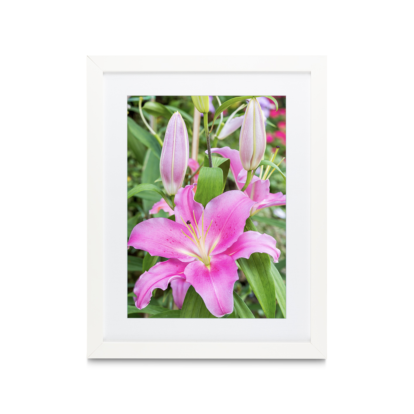 Purple Lily Floral FLORES_003 - Image 3