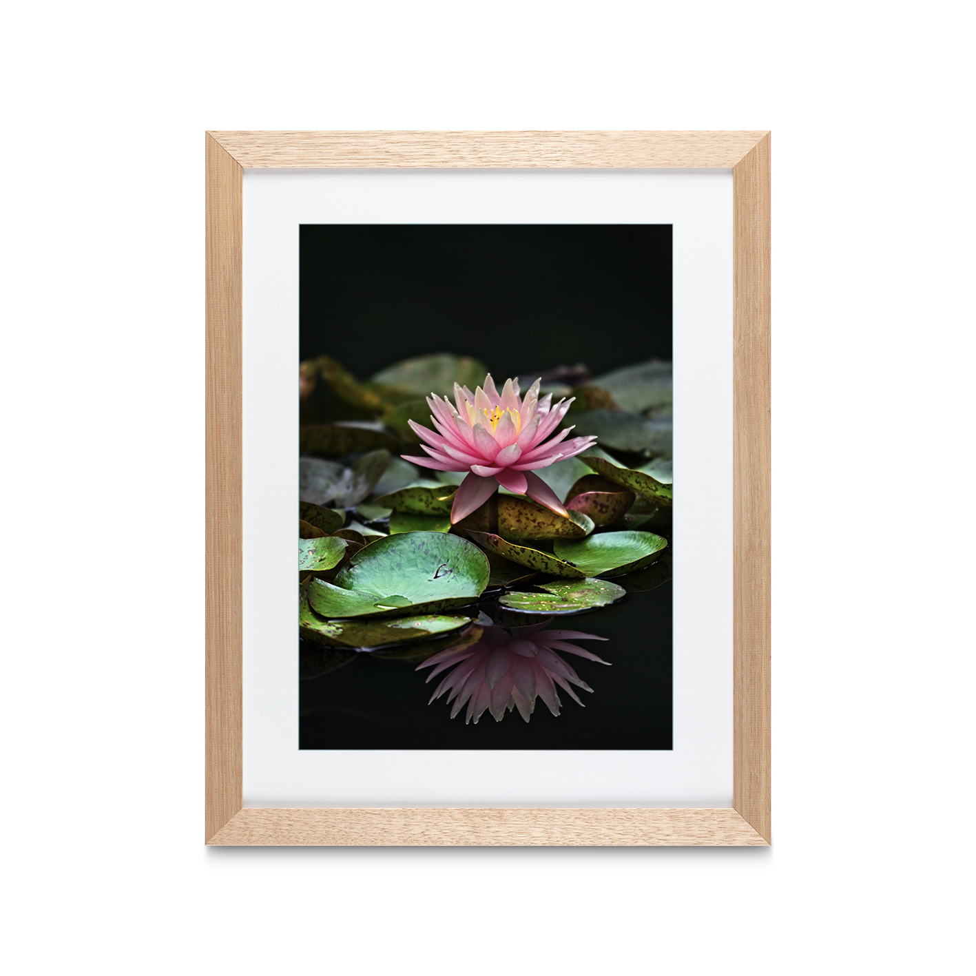 Floating Water Lily Floral FLORES_006 - Image 2