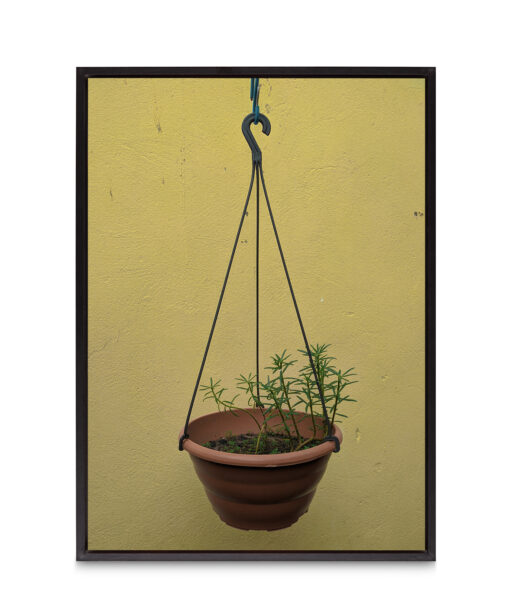 Hanging Plant Floral FLORES_007 - Image 8