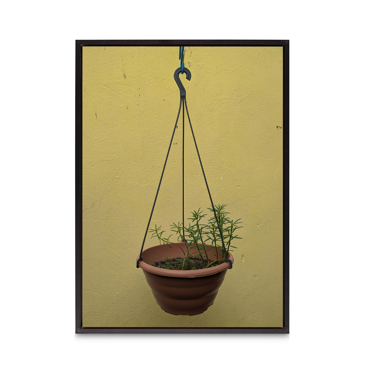 Hanging Plant Floral FLORES_007 - Image 8