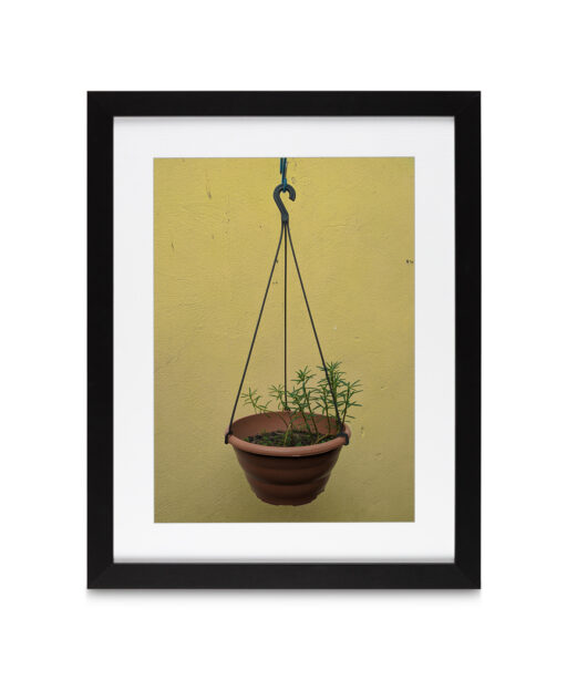 Hanging Plant Floral FLORES_007 - Image 4