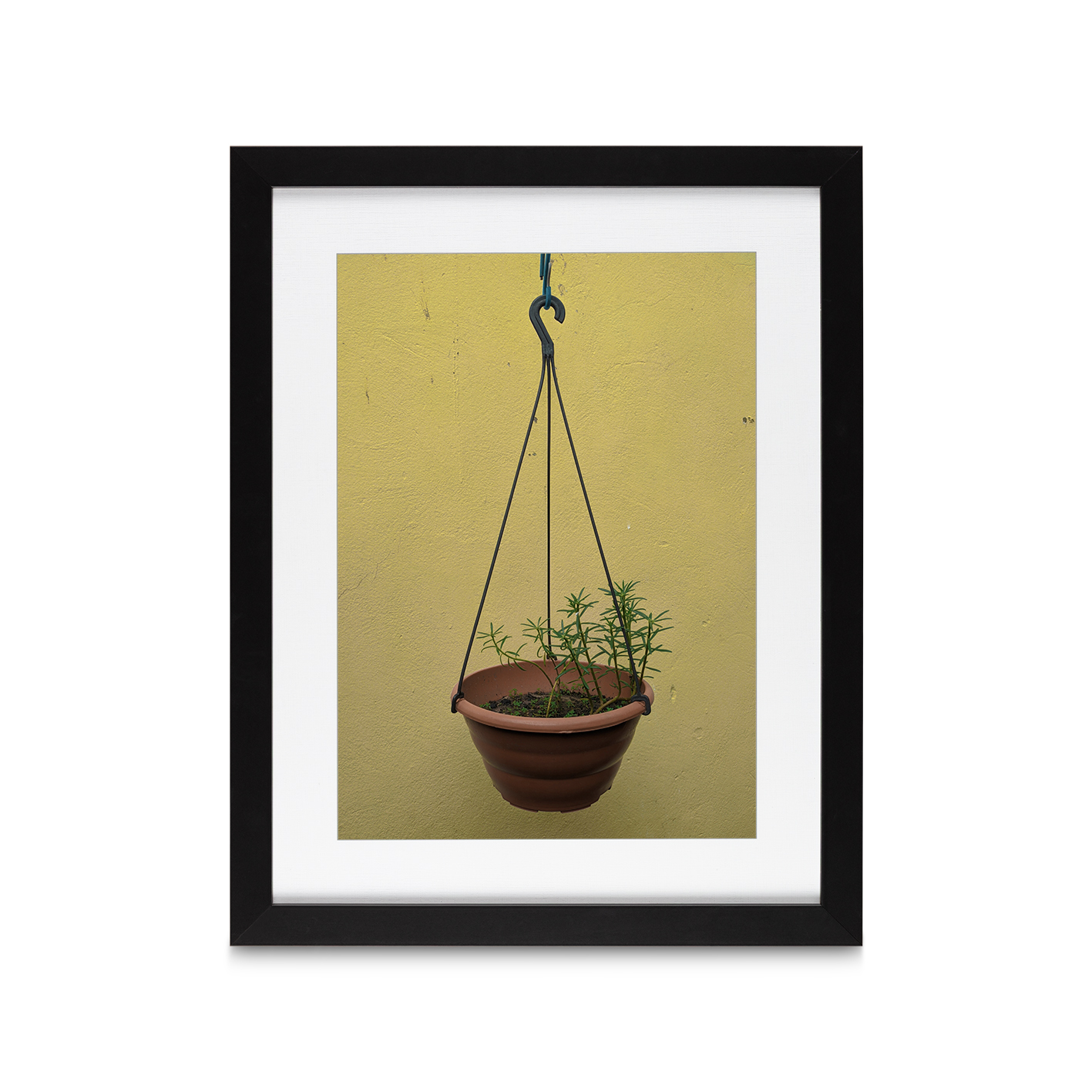 Hanging Plant Floral FLORES_007 - Image 4