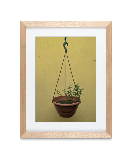 Hanging Plant Floral FLORES_007 - Image 2