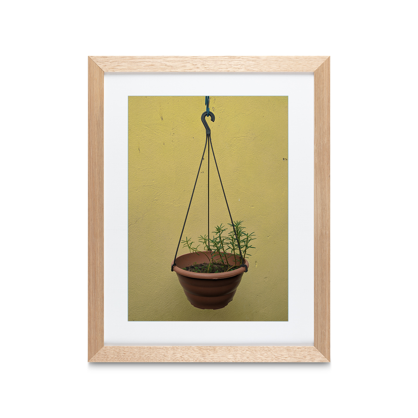 Hanging Plant Floral FLORES_007 - Image 2
