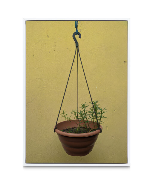Hanging Plant Floral FLORES_007 - Image 6