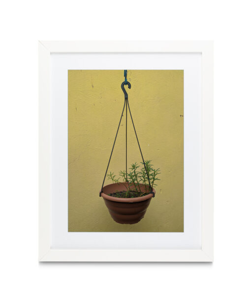 Hanging Plant Floral FLORES_007 - Image 3
