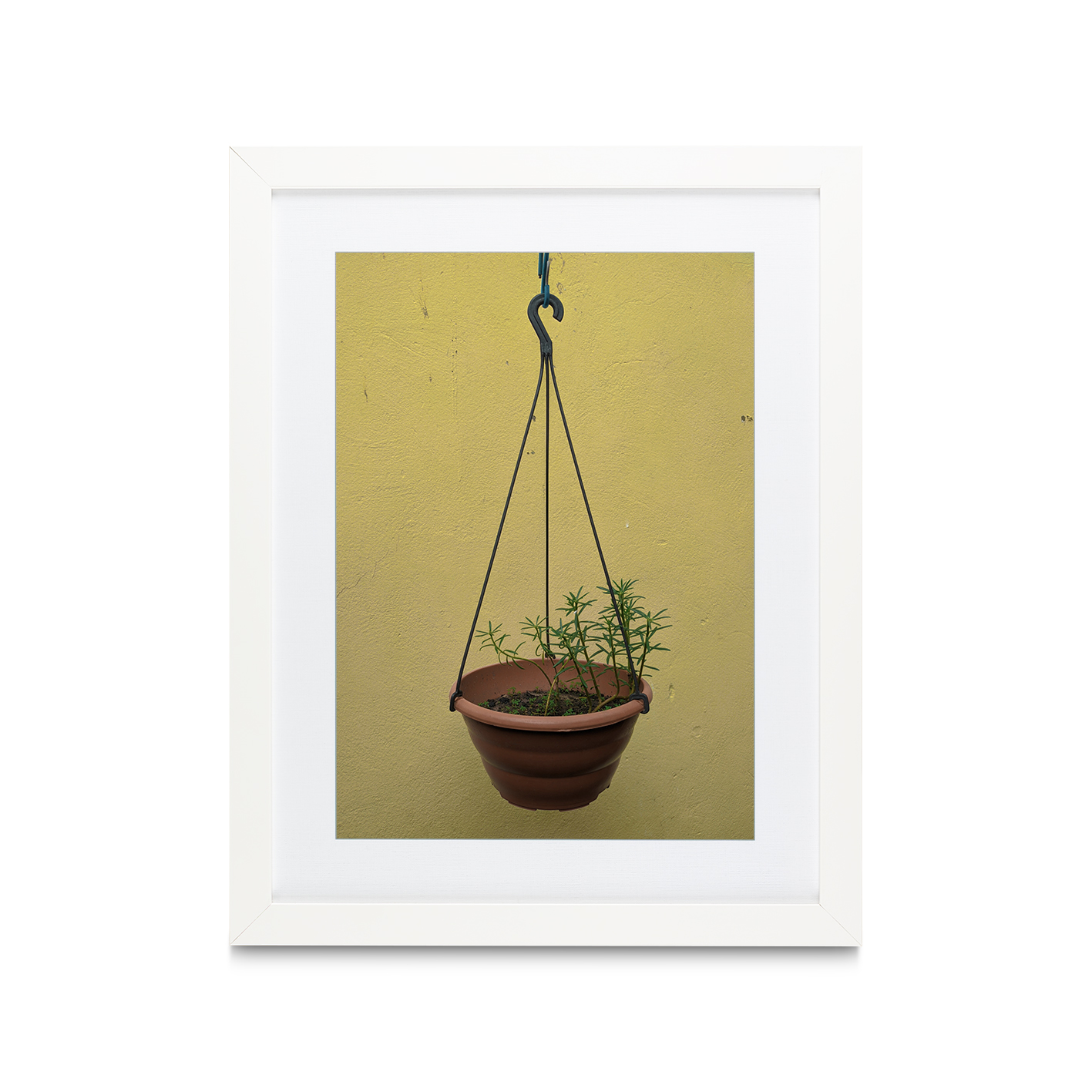 Hanging Plant Floral FLORES_007 - Image 3
