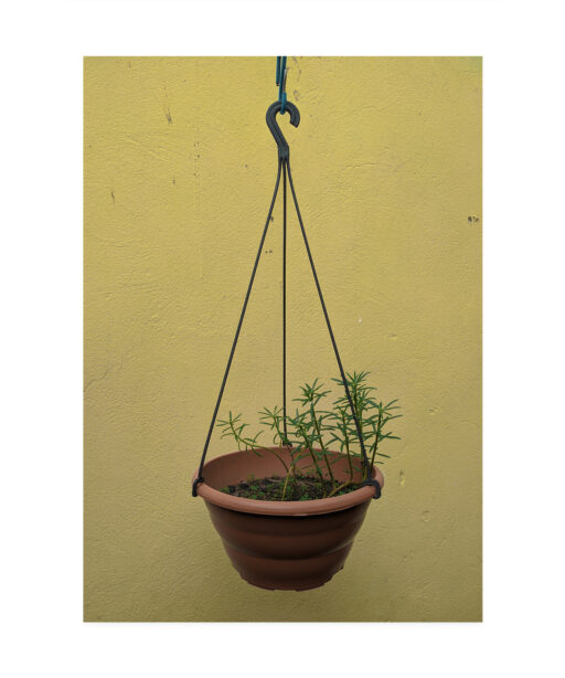 Hanging Plant Floral FLORES_007 - Image 7
