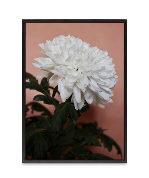 White Chrysanthemum Floral FLORES_008 - Image 8