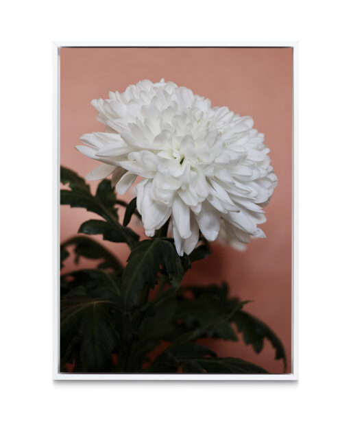 White Chrysanthemum Floral FLORES_008 - Image 6