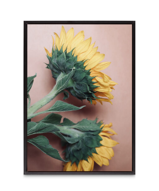 Sunflowers Floral FLORES_009 - Image 8