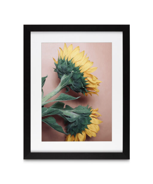 Sunflowers Floral FLORES_009 - Image 3