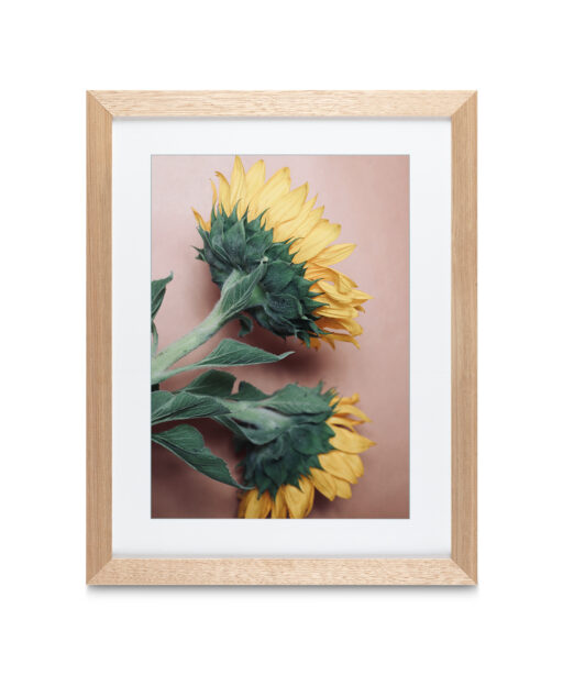 Sunflowers Floral FLORES_009 - Image 4