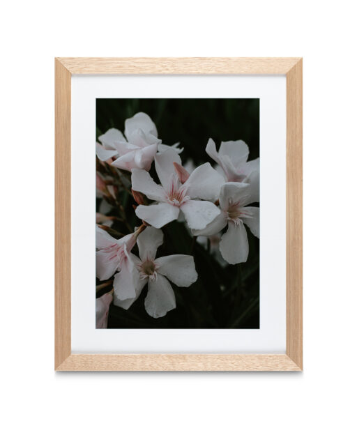 White Oleander Floral FLORES_011 - Image 2