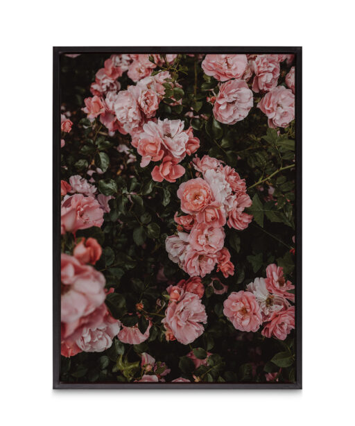 Rose Cluster Floral FLORES_013 - Image 8