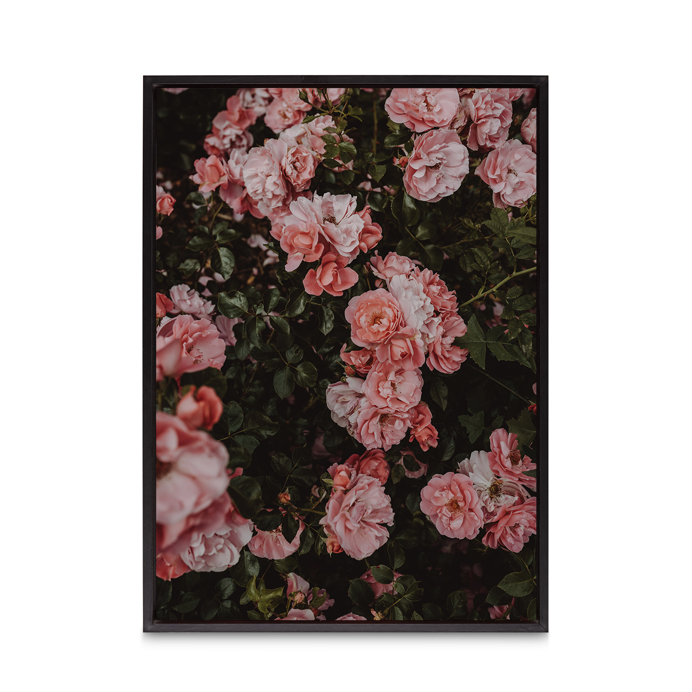 Rose Cluster Floral FLORES_013 - Image 8