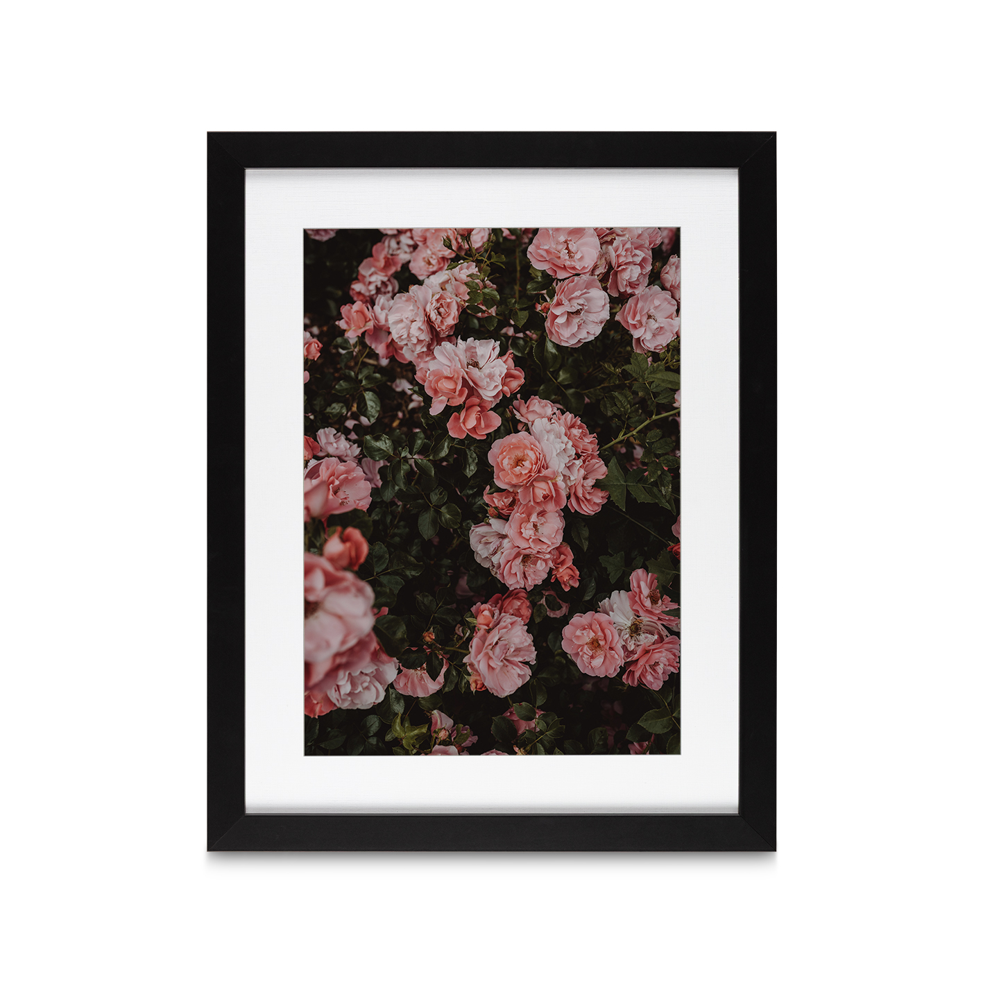 Rose Cluster Floral FLORES_013 - Image 4