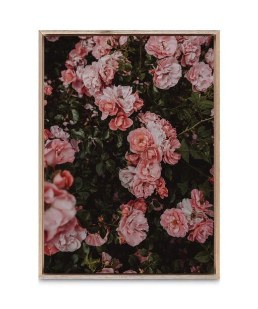 Rose Cluster Floral FLORES_013 - Image 5