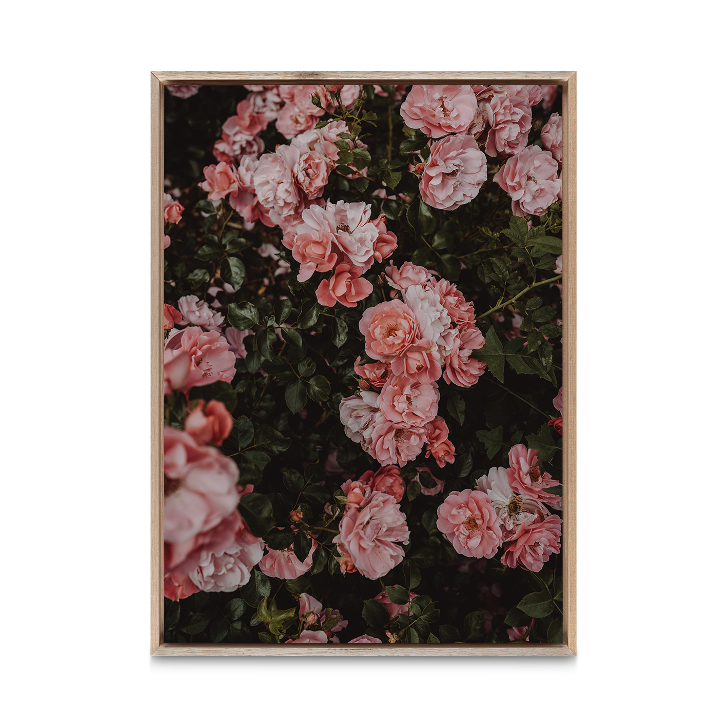 Rose Cluster Floral FLORES_013 - Image 5