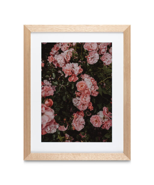Alternative view of Rose Cluster Floral FLORES_013