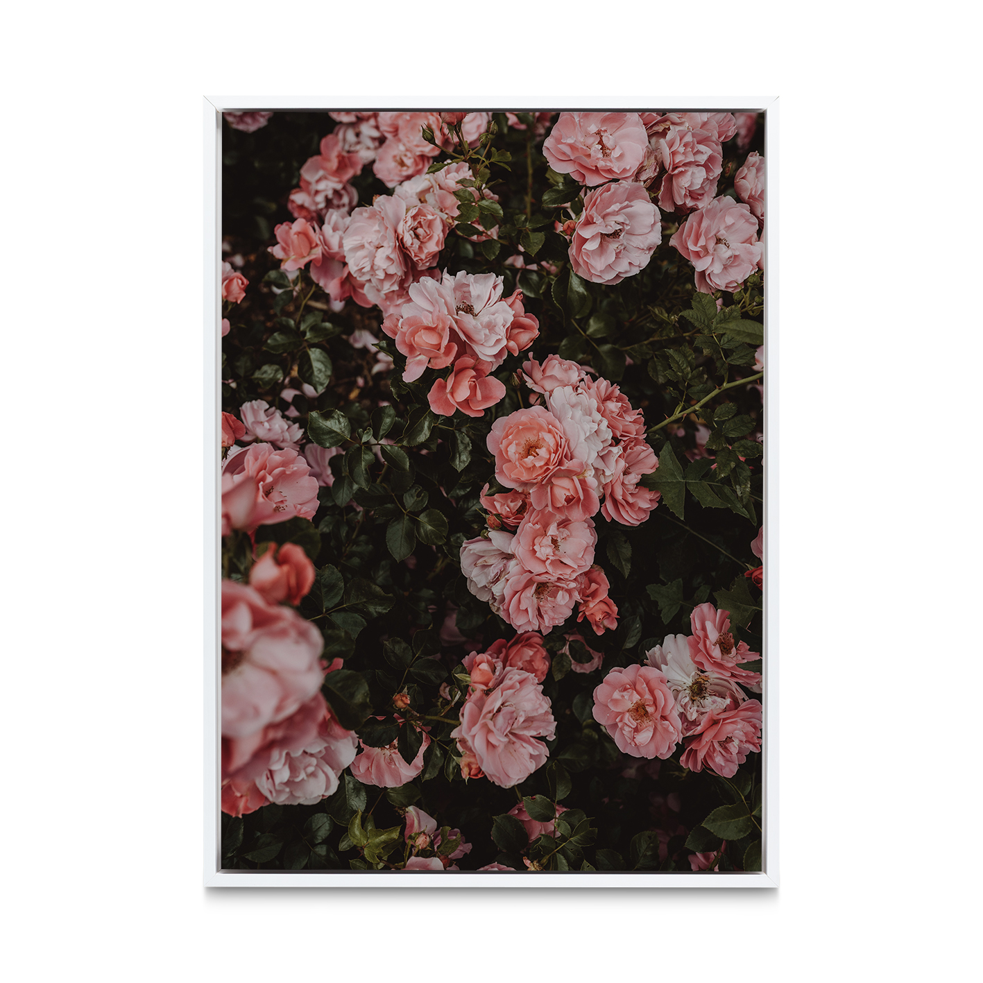 Rose Cluster Floral FLORES_013 - Image 6