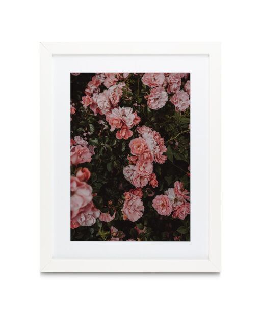 Rose Cluster Floral FLORES_013 - Image 3