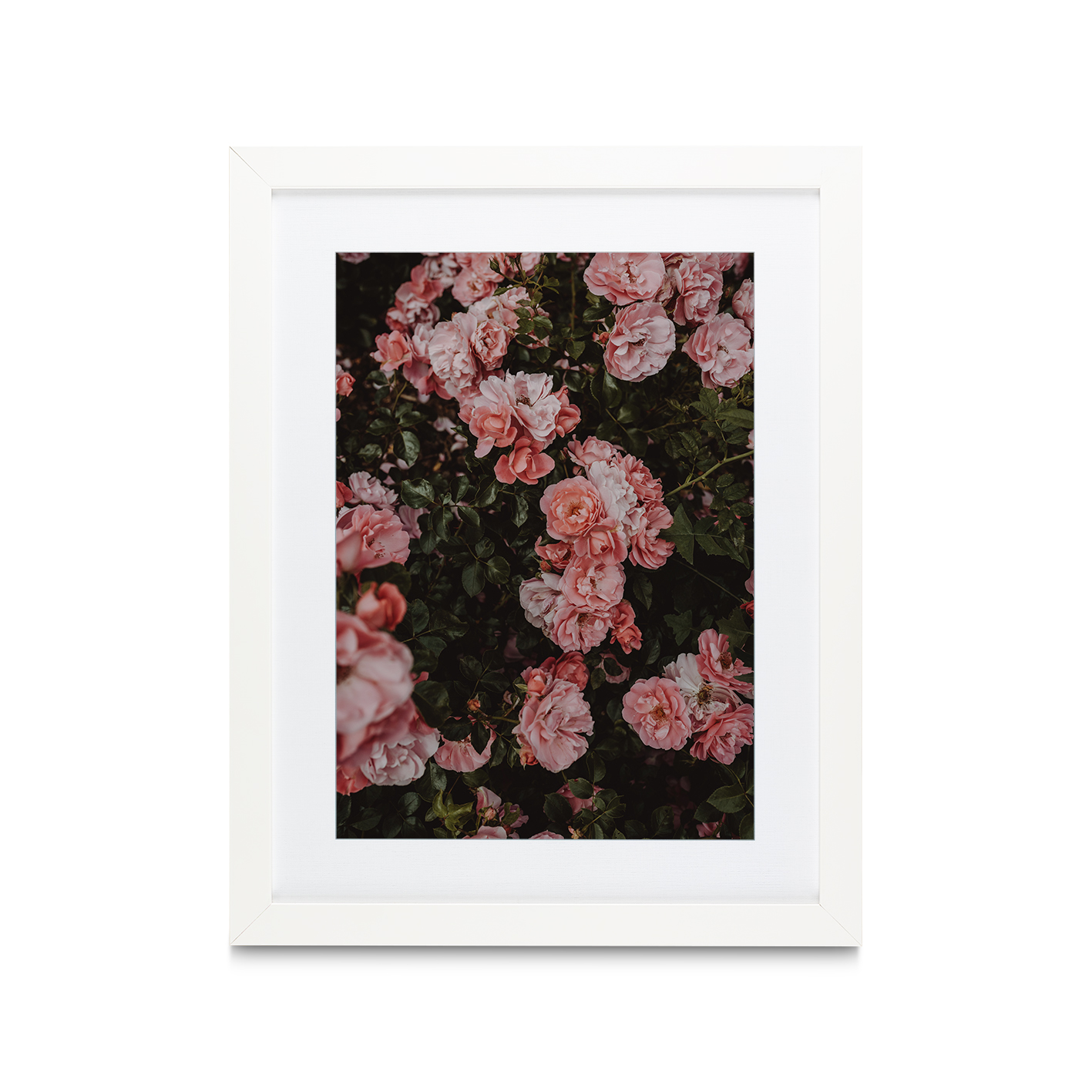 Rose Cluster Floral FLORES_013 - Image 3