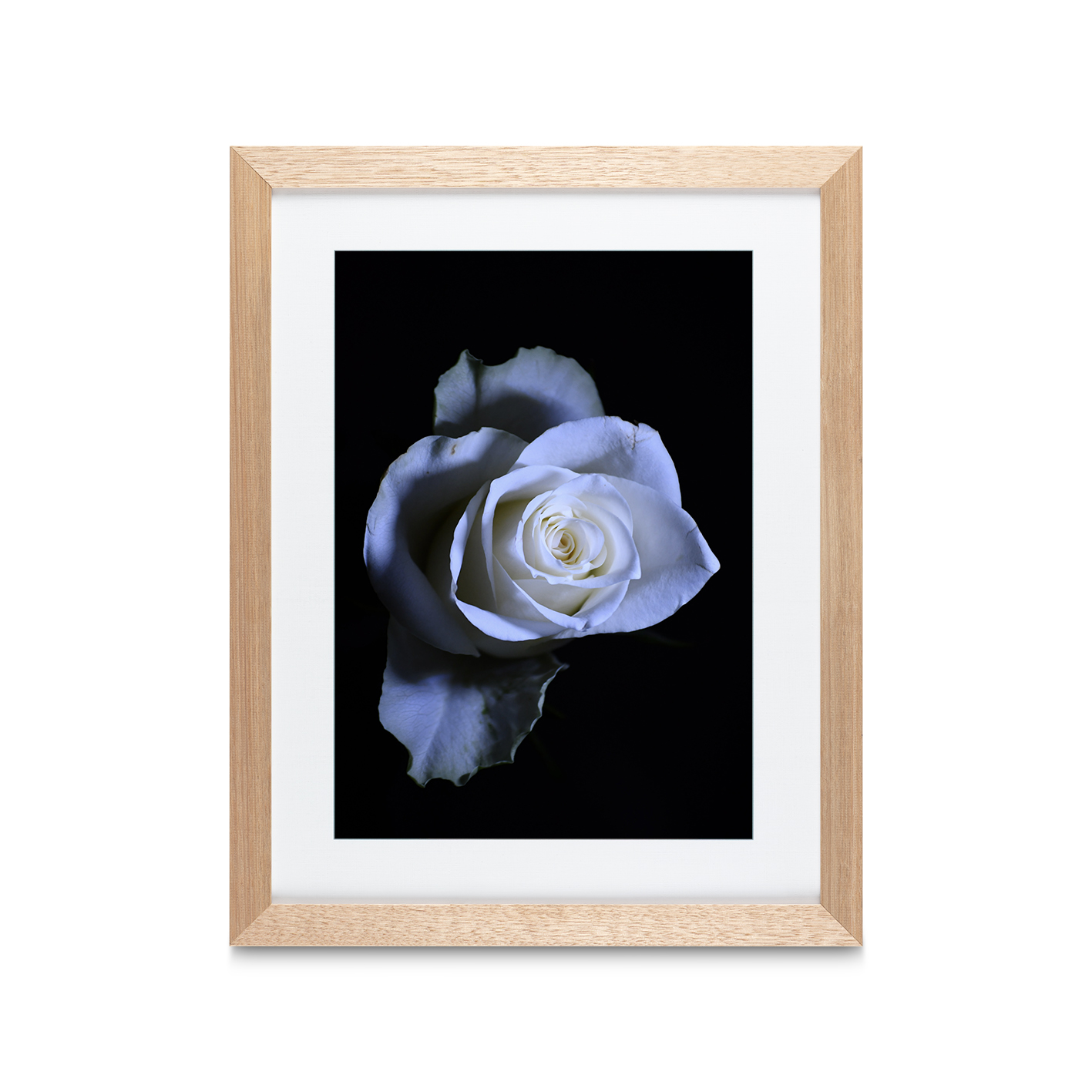 Rose Noir Floral FLORES_016 - Image 2