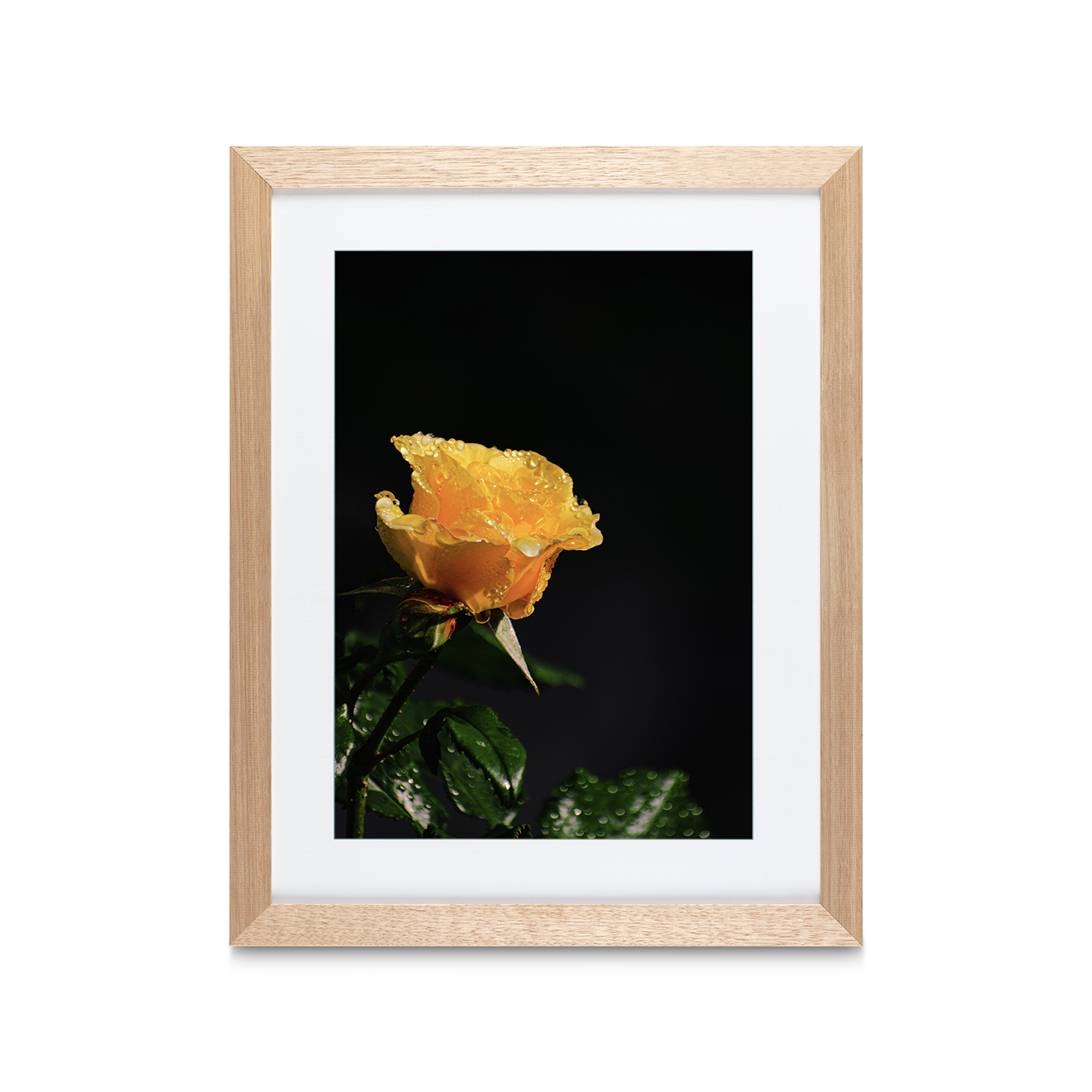 Yellow Rose Floral FLORES_021 - Image 2