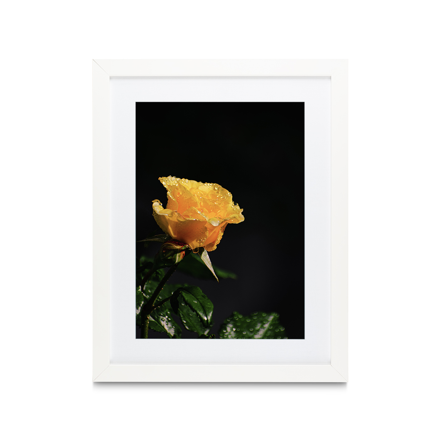 Yellow Rose Floral FLORES_021 - Image 3