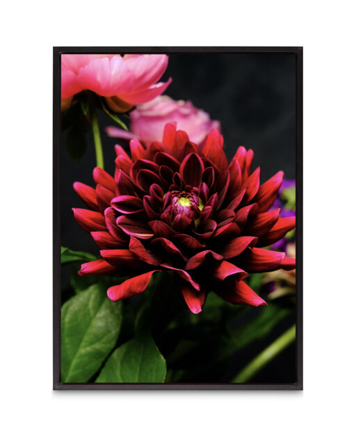 Red Dahlia Floral FLORES_025 - Image 8