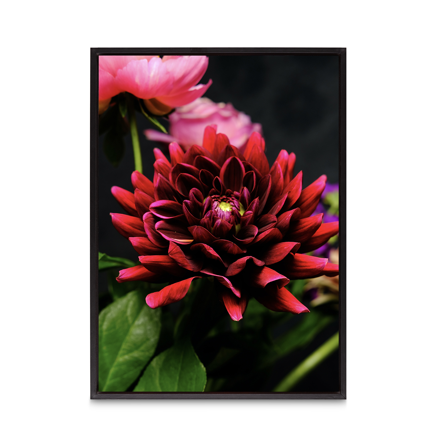 Red Dahlia Floral FLORES_025 - Image 8