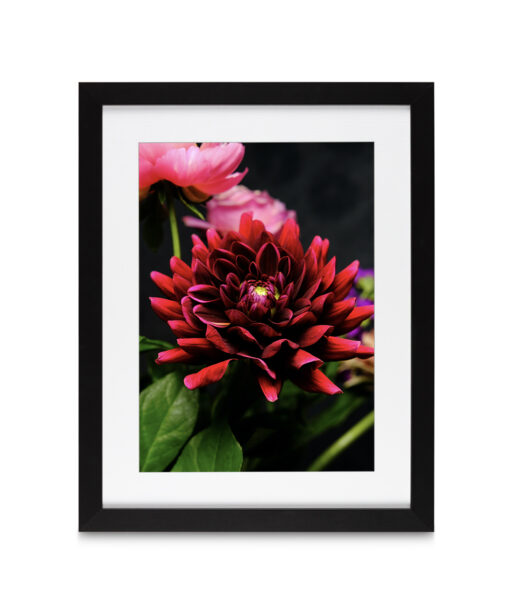 Red Dahlia Floral FLORES_025 - Image 4
