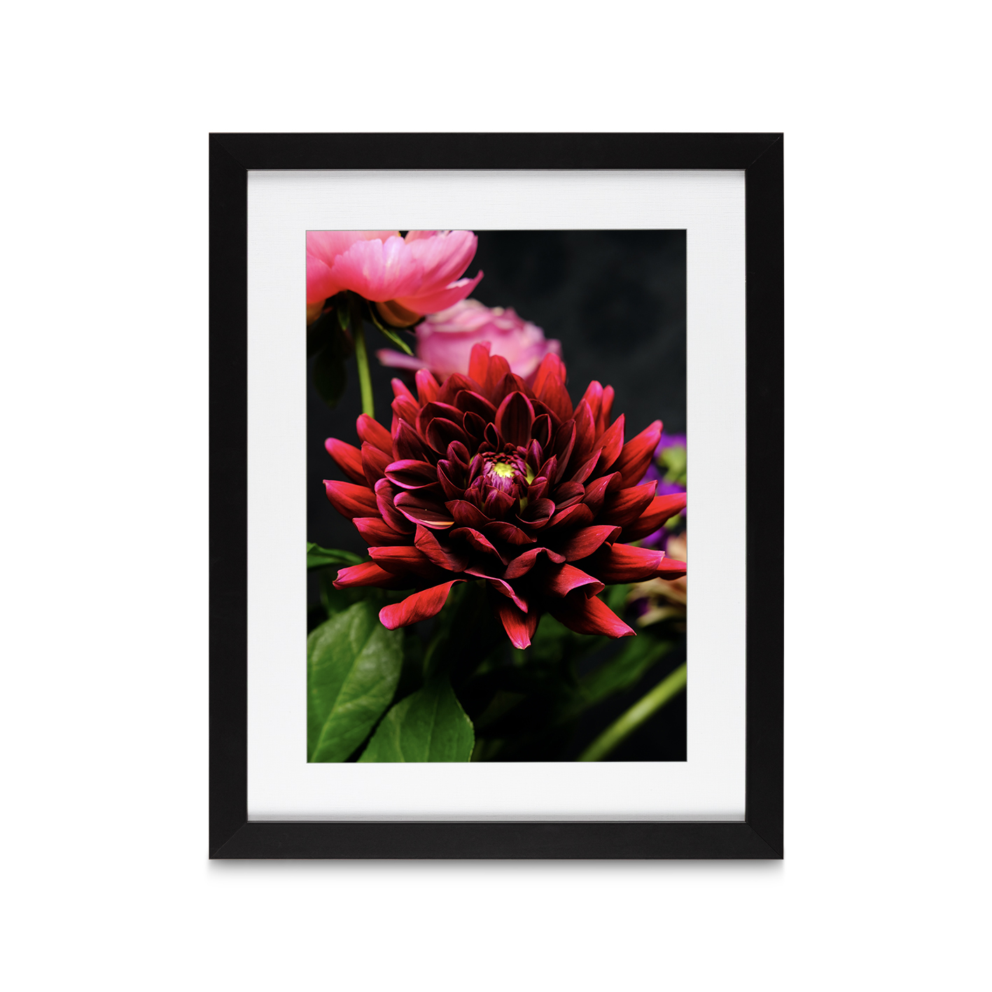 Red Dahlia Floral FLORES_025 - Image 4