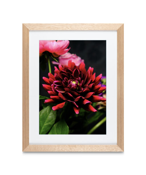 Alternative view of Red Dahlia Floral FLORES_025