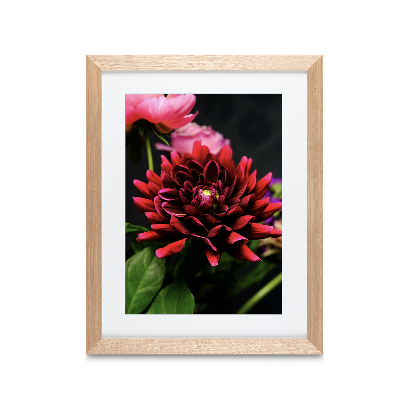 Red Dahlia Floral FLORES_025 - Image 2