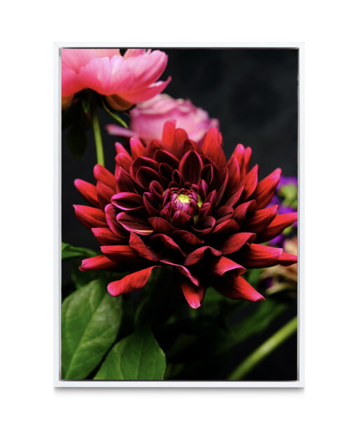 Red Dahlia Floral FLORES_025 - Image 6