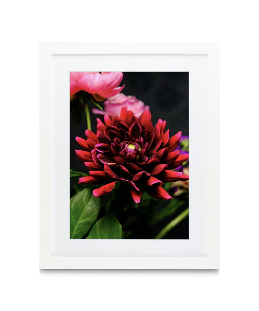 Red Dahlia Floral FLORES_025 - Image 3