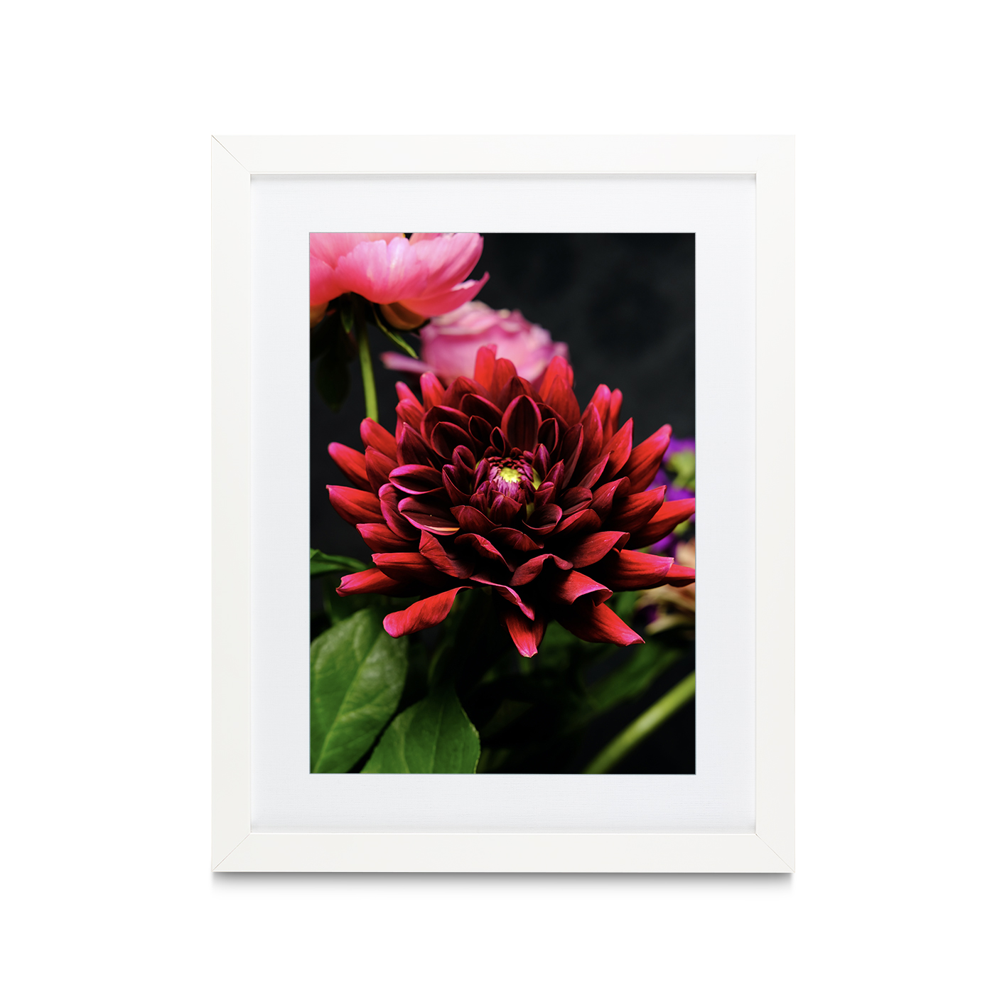 Red Dahlia Floral FLORES_025 - Image 3