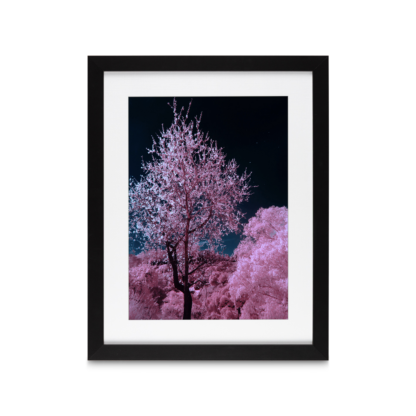 Pink Cherry Blossoms Floral FLORES_027 OR - Image 4
