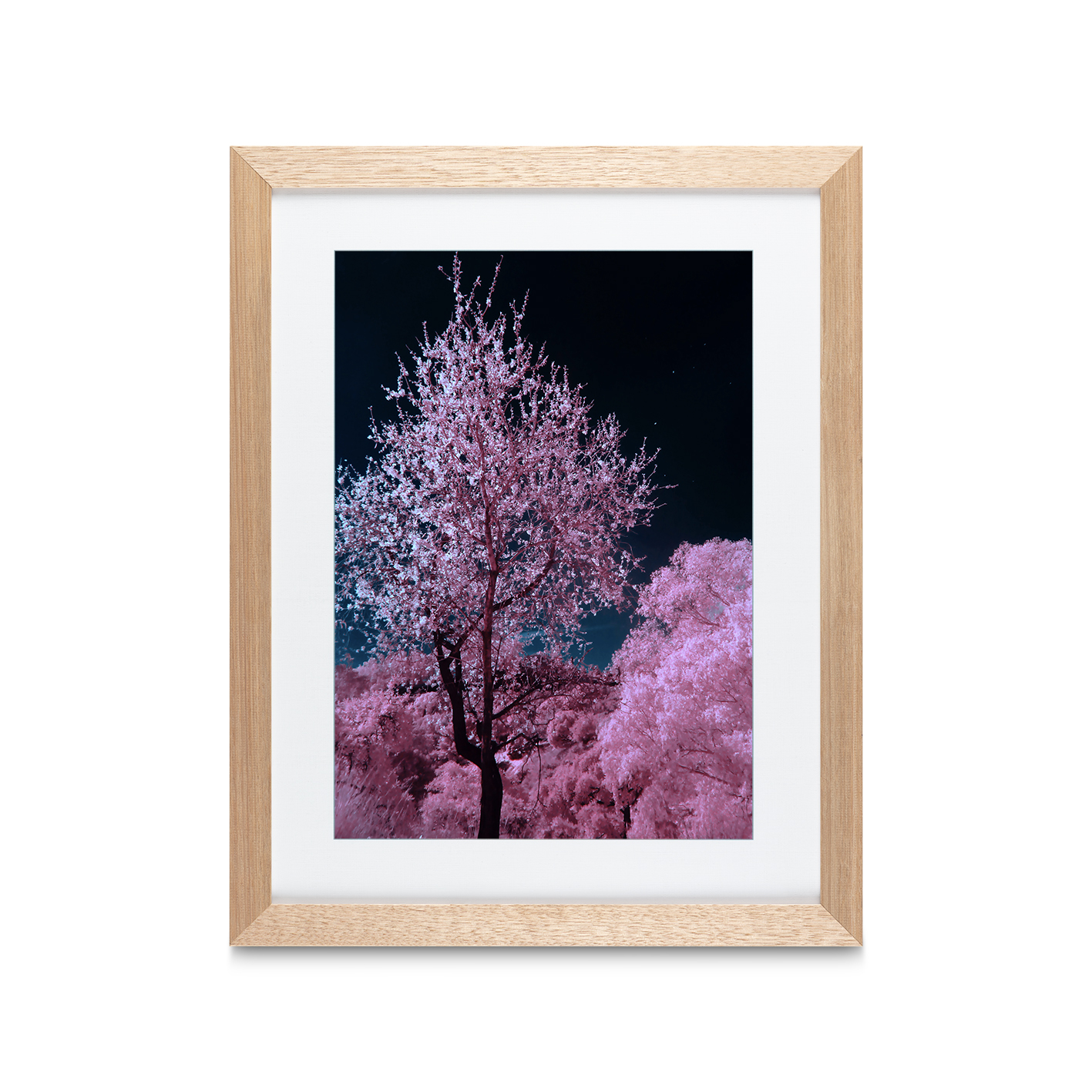 Pink Cherry Blossoms Floral FLORES_027 OR - Image 2
