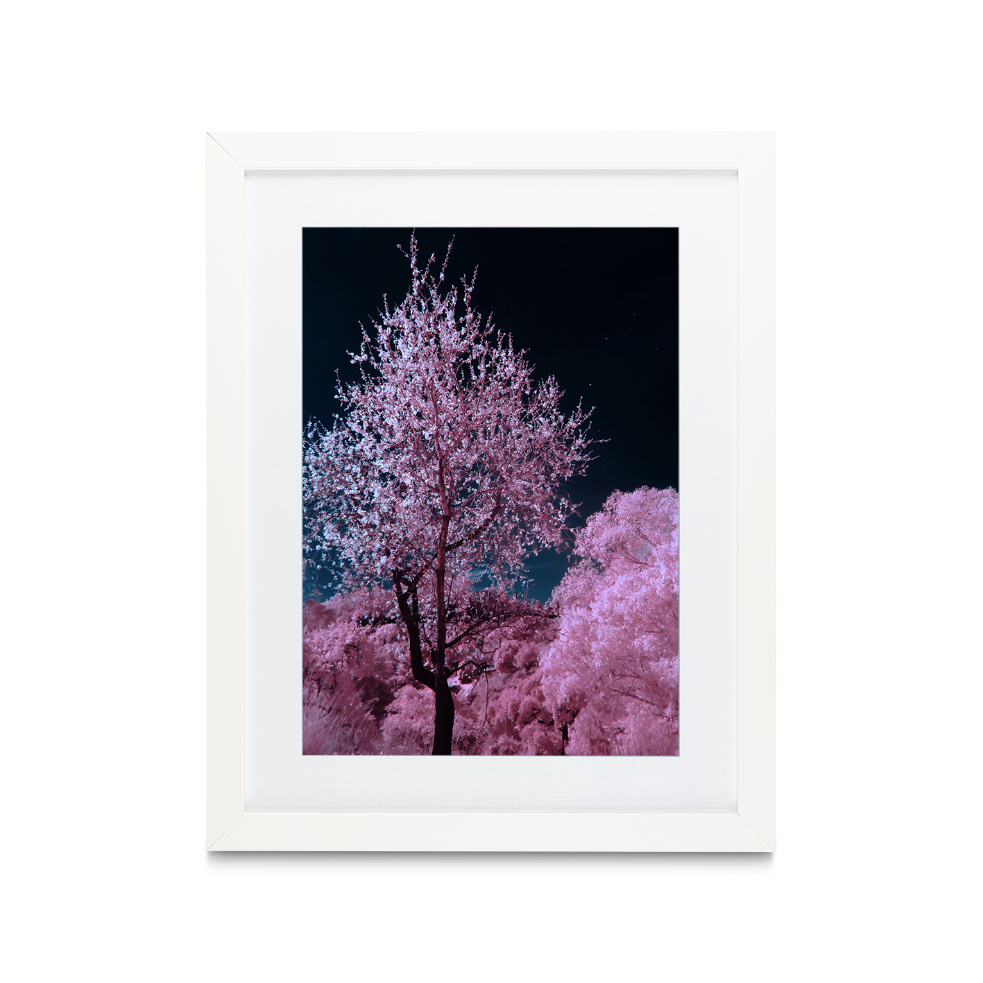 Pink Cherry Blossoms Floral FLORES_027 OR - Image 3