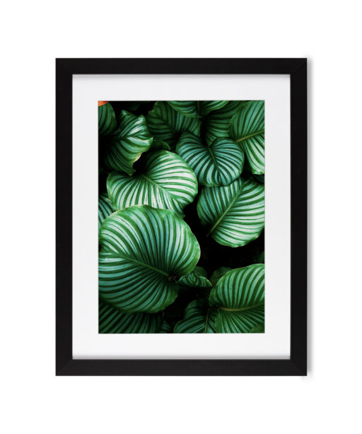 Green Leaf Flora FOLHAGENS_01 - Image 4