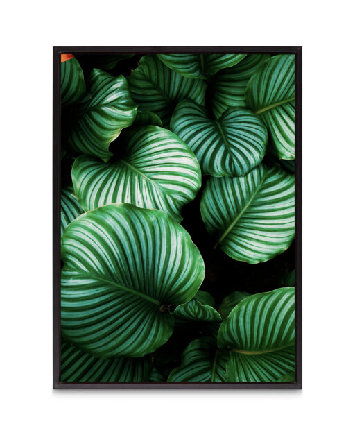 Green Leaf Flora FOLHAGENS_01 - Image 8