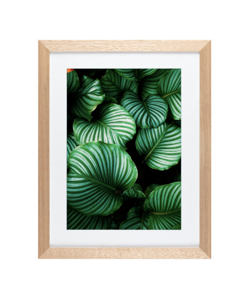 Green Leaf Flora FOLHAGENS_01 - Image 3
