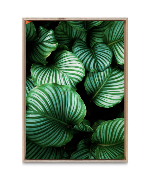 Green Leaf Flora FOLHAGENS_01 - Image 5
