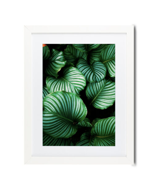 Green Leaf Flora FOLHAGENS_01 - Image 2