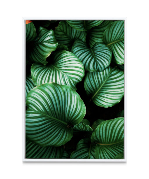 Green Leaf Flora FOLHAGENS_01 - Image 6