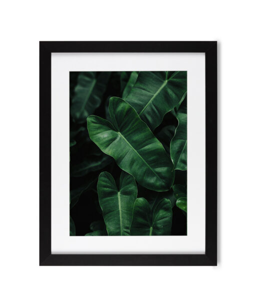 Large Green Leaf Flora FOLHAGENS_02 - Image 4