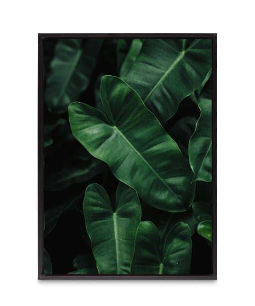 Large Green Leaf Flora FOLHAGENS_02 - Image 8